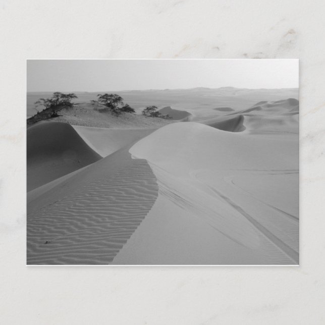 Carte Postale Barren (Devant)
