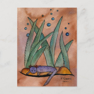 Carte Postale Barton Springs Salamander