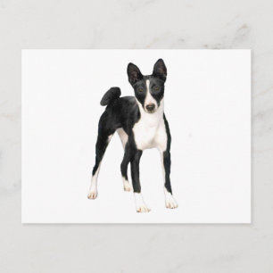 Carte Postale Basenji (B) - noir et blanc