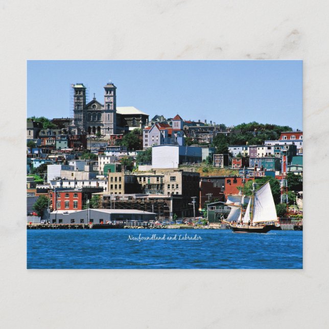 Carte Postale Basilique sur le rivage à St. John's (Devant)