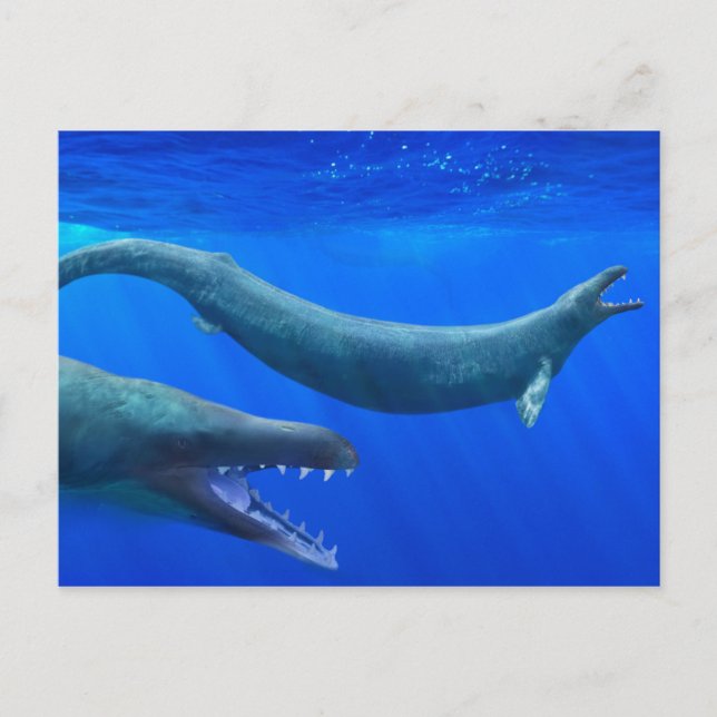 Carte postale Basilosaurus (baleine préhistorique) (Devant)