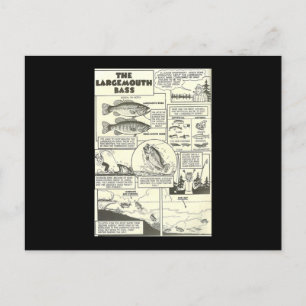 Carte Postale Bass Baits Cute