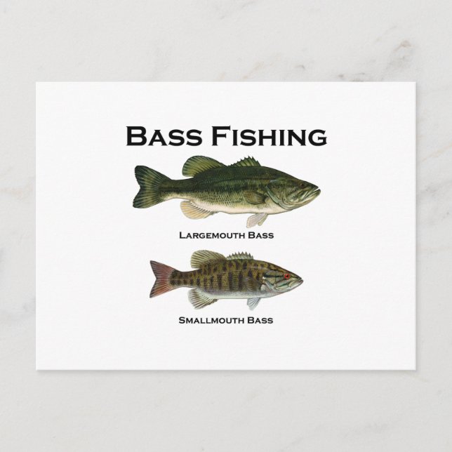 Carte Postale Bass Fishing Logo (grande bouche - petite bouche) (Devant)