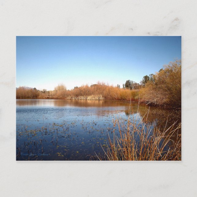 Carte Postale Bass Pond One (Devant)