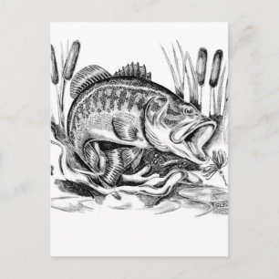 Carte Postale Basse à grande bouche