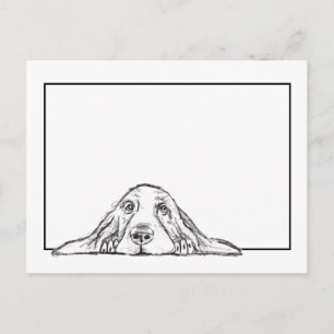 Carte Postale basset blanc