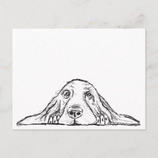 Carte Postale basset blanc (Devant)
