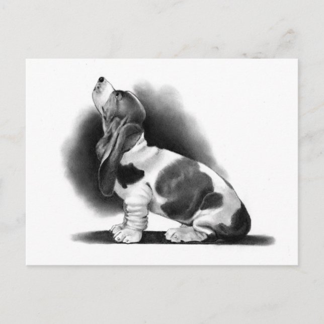 CARTE POSTALE BASSET HORAIRE : RÉALISME PENCILE : POIVRE (Devant)