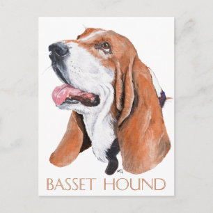 Carte Postale Basset Hound
