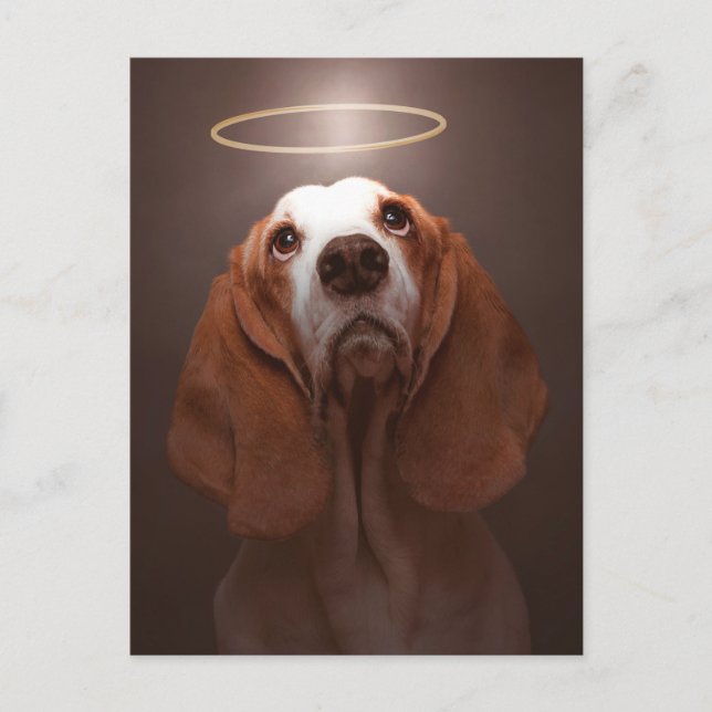 Carte Postale Basset Hound Angel (Devant)
