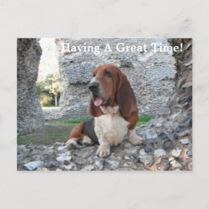 Carte postale Basset Hound Castle Ruin Visite