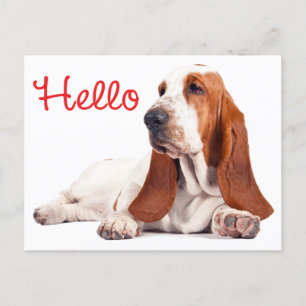 Carte Postale Basset Hound Chien Chien Chien Rouge Bonjour Pense