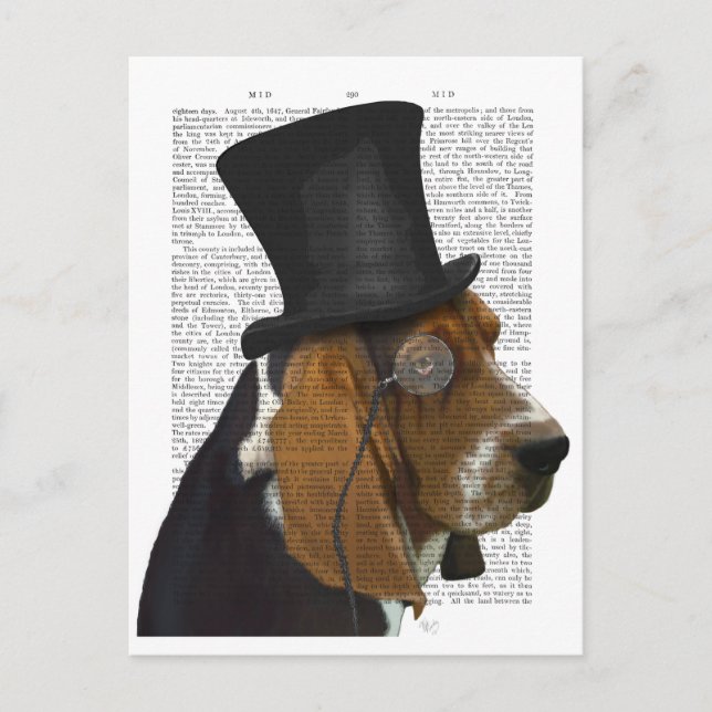 Carte Postale Basset Hound, Hound officiel et Casquette (Devant)