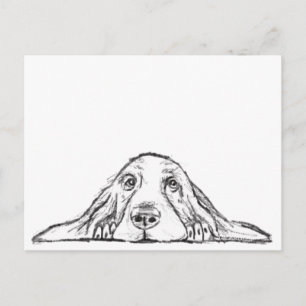 Carte Postale basset hound noir blanc yeux de chiot simple