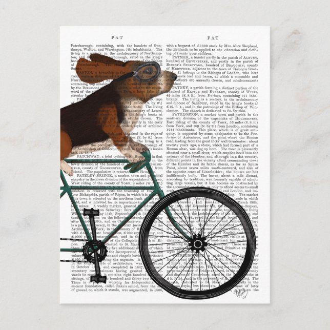 Carte Postale Basset Hound sur vélo (Devant)