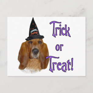 Carte Postale Basset Hound Trick