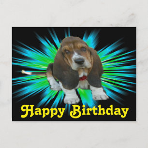 Carte postale Basset Sheldon Joyeux anniversaire