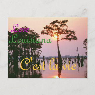 Carte Postale Bassin de Lousiana/Atchafalaya