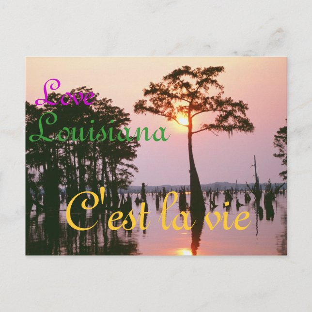 Carte Postale Bassin de Lousiana/Atchafalaya (Devant)
