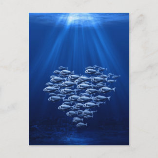 Carte Postale bassin de poissons sous le coeur de l'eau