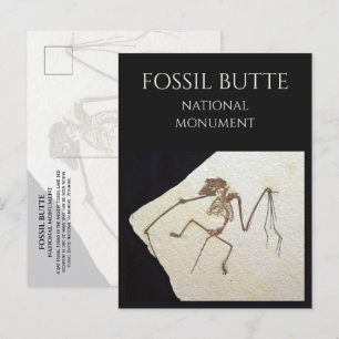 Carte Postale Bat Fossil, de Fossil Lake, Fossil Butte, WY