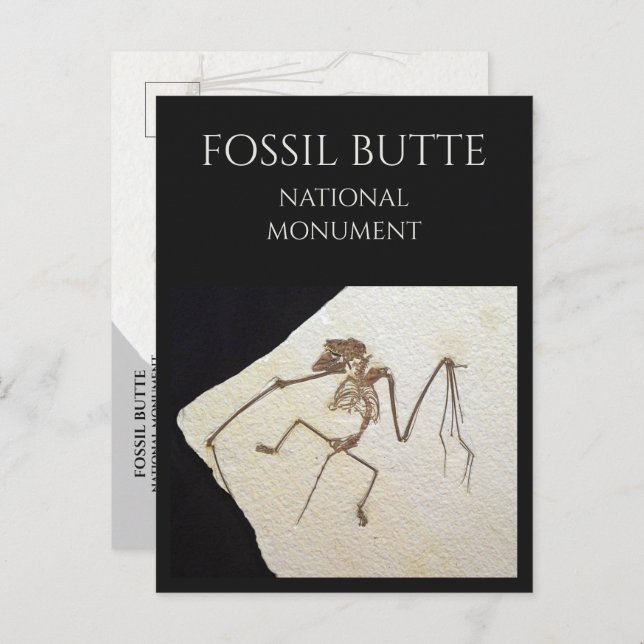 Carte Postale Bat Fossil, de Fossil Lake, Fossil Butte, WY (Devant / Derrière)