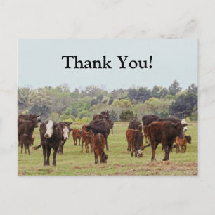 Carte Postale Bataille de Texas