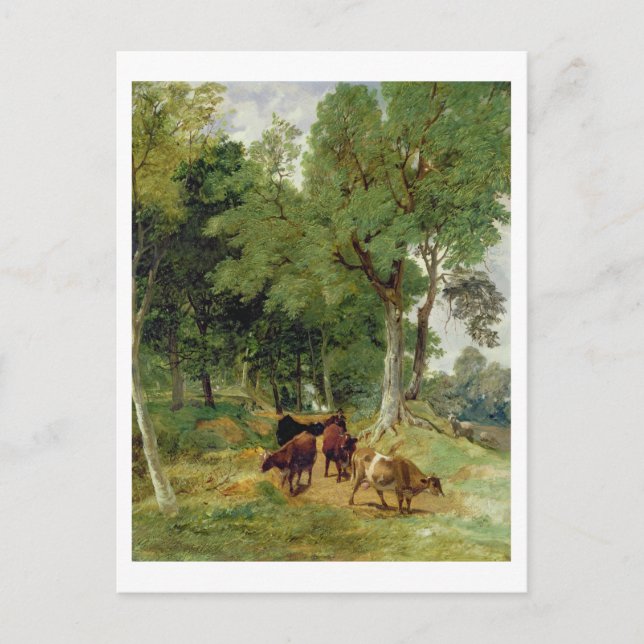 Carte Postale Bataille sur une voie Devonshire (Devant)