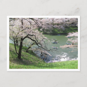 Carte Postale Bateau de printemps : Chidorigafuchi, Tokyo