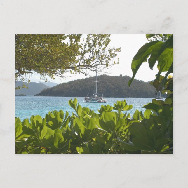 Carte Postale Bateau solitaire (Devant)