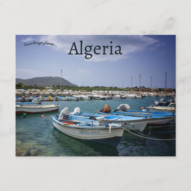 Carte Postale Bateaux à Béjaïa Algérie (Devant)