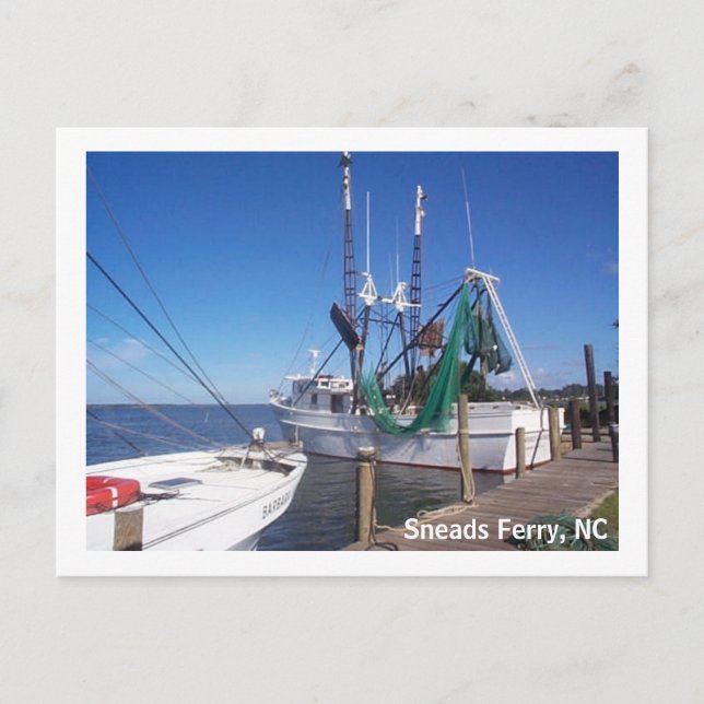 Carte Postale Bateaux à crevettes amarrées (Devant)