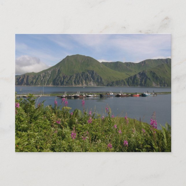 Carte Postale Bateaux à la crête à Dutch Harbour, Alaska (Devant)