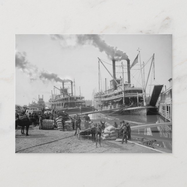 Carte Postale Bateaux à vapeur à Vicksburg, 1910 (Devant)