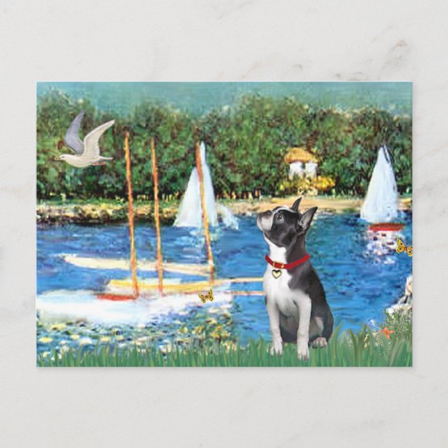 Carte Postale Bateaux à voile - Boston Terrier #@ (Devant)