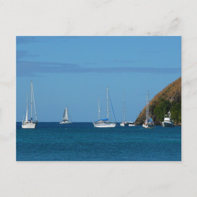 Carte Postale Bateaux à voile dans la baie Blancs et Bleus Nauti (Devant)