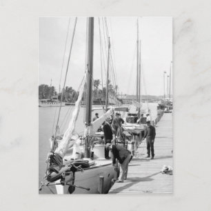 Carte Postale Bateaux à voile de Miami, 1905