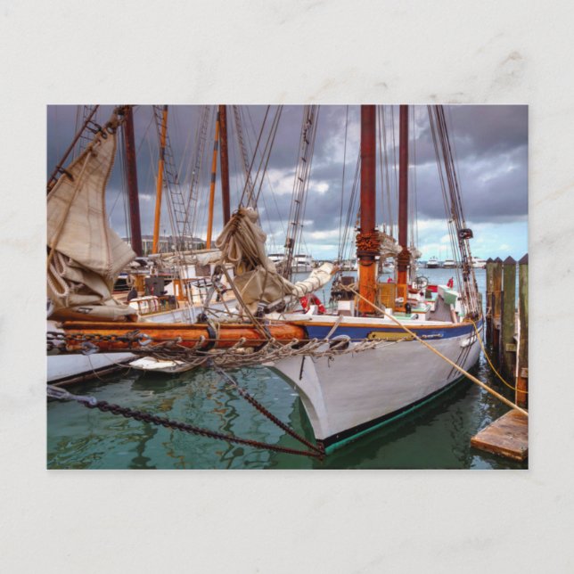 Carte Postale Bateaux À Voile Morts À Key West (Devant)