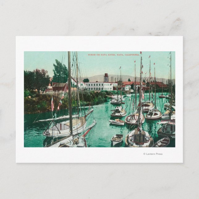 Carte Postale Bateaux à voile sur Napa River Scene Napa, CA (Devant)