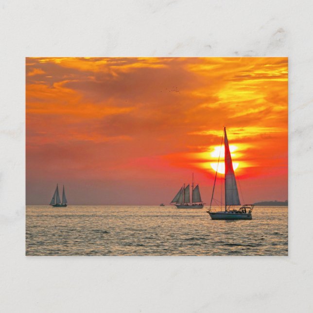 Carte Postale Bateaux clés West Sailboats au coucher du soleil (Devant)
