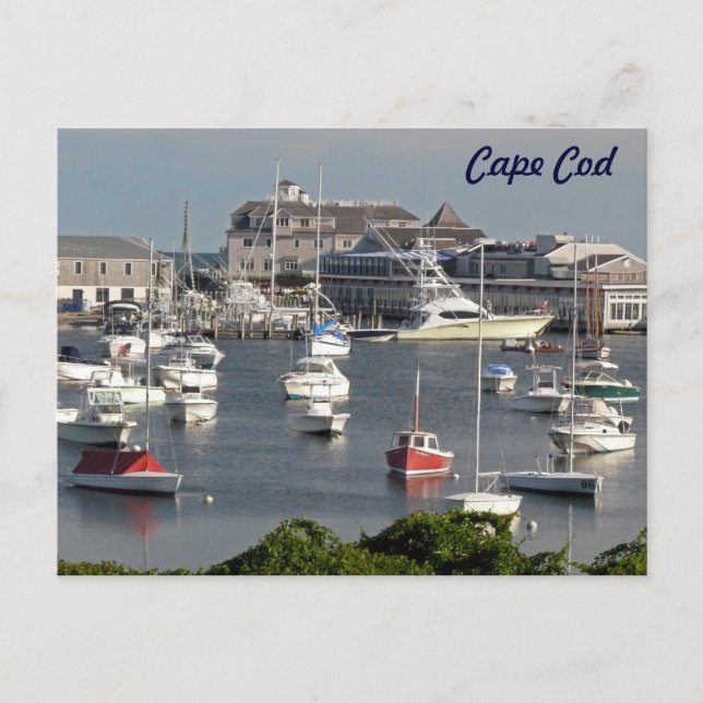 Carte Postale Bateaux dans un port de Cape Cod en été (Devant)