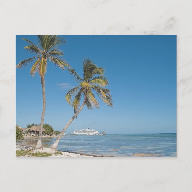 Carte Postale Bateaux de croisière à Costa Maya (Devant)