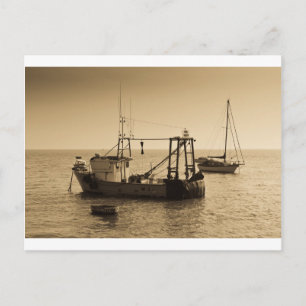 Carte Postale Bateaux de pêche Leigh en mer