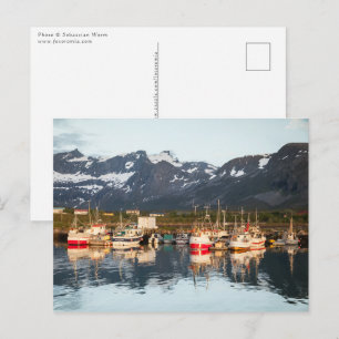 Carte Postale Bateaux de pêche norvégiens
