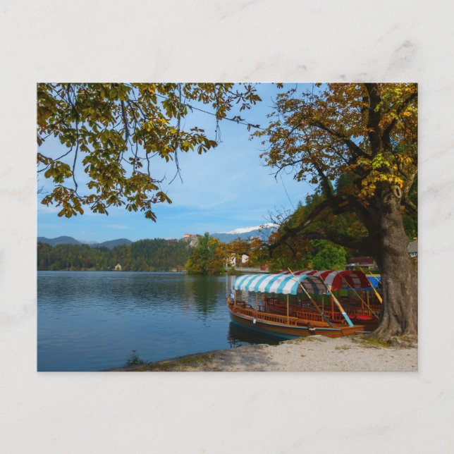 Carte Postale Bateaux touristiques dans le lac Bled en automne (Devant)