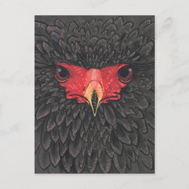 Carte Postale Bateleur Eagle African Bird Portrait Papier Collag (Devant)