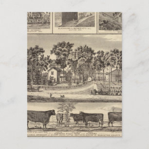 Carte Postale Bâtiments de Clenona Stock Farm à Davenport