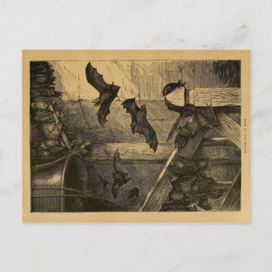 Carte Postale Bats britanniques vintages