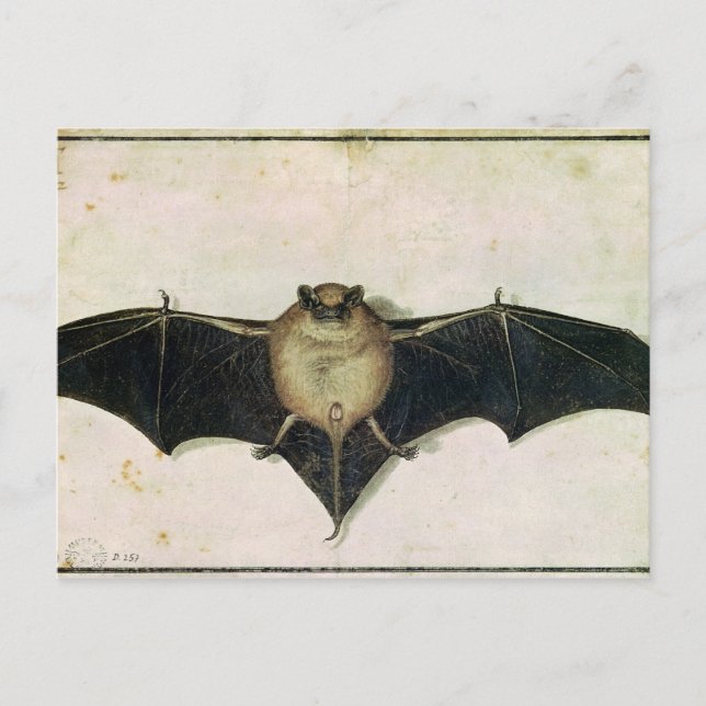 Carte Postale Batterie, 1522 (Devant)