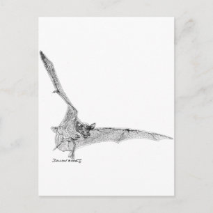 Carte Postale Batterie libre